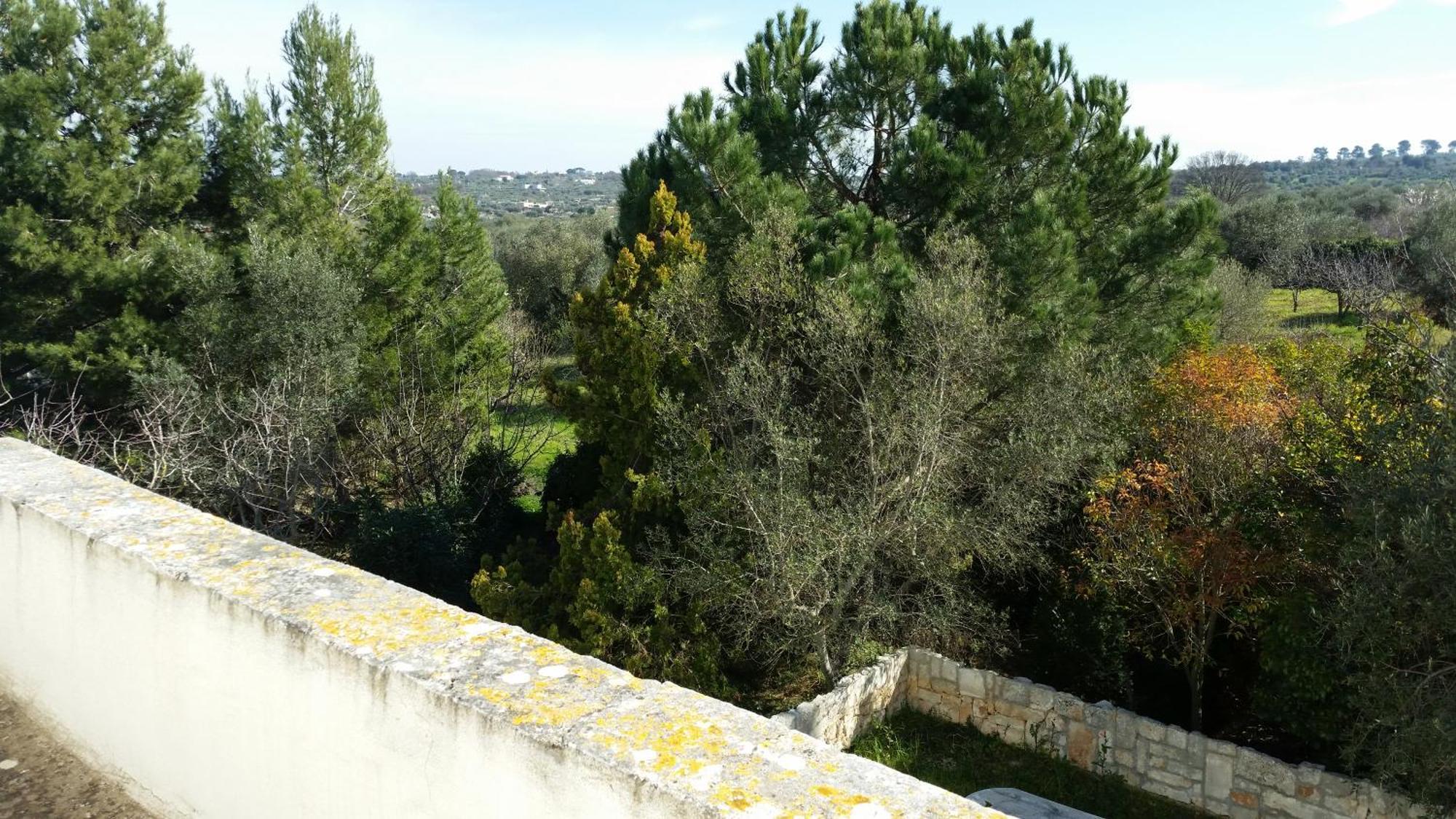 Masseria Fra Diavolo Guest House Castellana Grotte Exterior photo